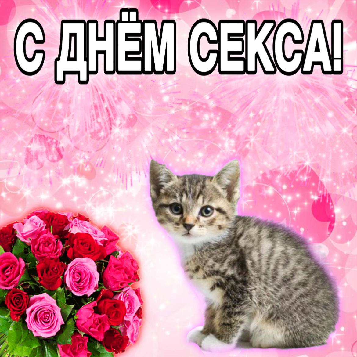 День Секса Картинки Прикольные День Секса Картинки Прикольные
